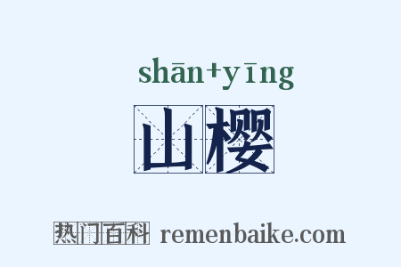 山樱是什么意思的图片